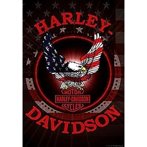 Harley Davidson Patriotic Eagle Garden Flag