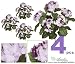 FOUR 16" Hydrangea Artificial Flower Bushes in Purple Mixed for Home, Garden Decoration