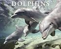 Dolphins 2010 Wall Calendar