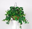 Artificial Philo Hanging Basket