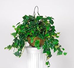 Artificial Philo Hanging Basket