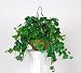Artificial Philo Hanging Basket
