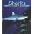 Sharks (Ocean Life)