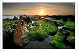 Tin Sign Poster The Indian Shore (20x30cm) By Nature Scene Painting