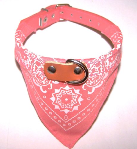 Bandana Dog Collar Peach Small Neck Size 10