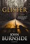 The Glister: A Novel (Library Binding)