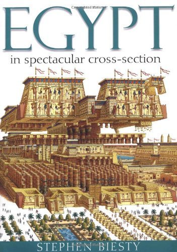 Egypt in Spectacular Cross-Section by Ross, Stewart (2007) Paperback