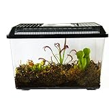 3 Live Adult Carnivorous Plants in Deluxe Terrarium: Venus Fly Trap, Pitcher Plant, Sundew