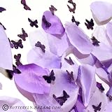 Butterflies and Satin Rose Petals