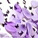 Butterflies and Satin Rose Petals