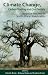 Climate Change, Carbon Trading and Civil Society: Negative Returns on South African Investments