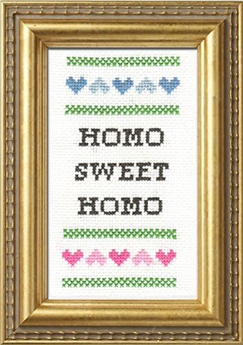 Subversive Cross Stitch "Homo Sweet Homo Deluxe Kit