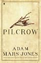 Pilcrow 