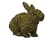 13" High Topiary Hopping Rabbit filled with Sphagnum Moss