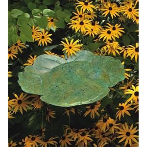 3-Leaf Bird Bath - Green by Ancient Graffiti