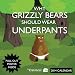 Why Grizzly Bears Should Wear Underpants 2014 Wall Calendar