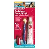 Petrodex Sm-Md Dog Poultry Toothpaste Tooth-Hugger Care Kit, 2 Toothbrushes
