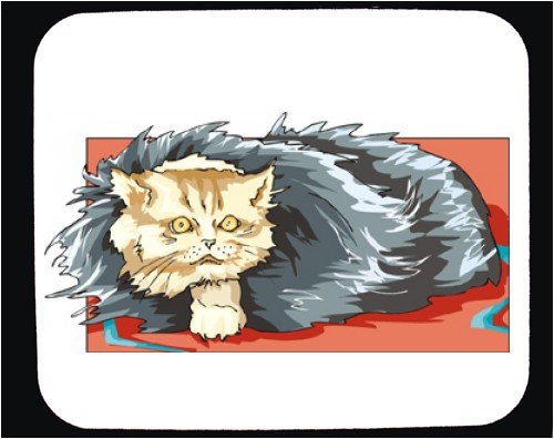 image link - - B000RLPJH6