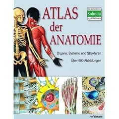 Atlas der Anatomie: Organe, Systeme und Strukturen