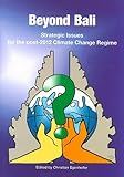 Beyond Bali : strategic issues for the post-2012 climate change regime