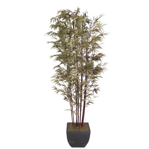 Laura Ashley 8 Foot Tall Realistic Bamboo Tree with Natural Trunks in Contemporary Pot