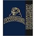 Pittsburgh Panthers NCAA Royal Plush Raschel Blanket (Stripes Series) (50x60