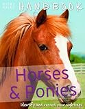 Horses & ponies