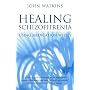 Healing Schizophrenia: Using Medication Wisely