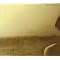 marks petsounds - top 20 - teenage symphonies to god