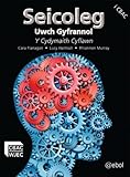 Seicoleg uwch gyfrannol : y cydymaith cyflawn
