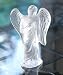 Crystal by Lalique