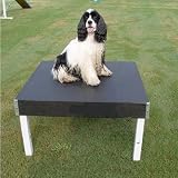 Agility Pause Table/Purple - 30 Long, 30 Wide, Adjustable Height