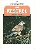The Kestrel