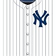 New York Yankees MLB Book Cover