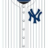 New York Yankees MLB Book Cover