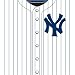 New York Yankees MLB Book Cover