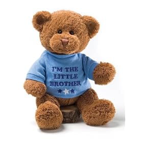  Gund Im The Little Brother Message 12 inch Bear Plush