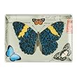 Mariposa Butterfly Fringe Studio Glass Postcard Tray