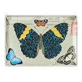 Mariposa Butterfly Fringe Studio Glass Postcard Tray