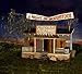 A Night in Woodstock