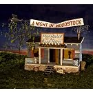 Night in Woodstock