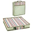 Cushion Riviera Edition Sage Green With Multi Color Stripes 14 Inches By 14 Inches Foam Cushion With Top Handle And Pocket