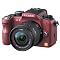 LUMIX�@G1&LX3�@���~�b�N�X