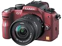 Panasonic デジタル一眼カメラ LUMIX (ルミックス) G1 レンズキット コンフォートレッド DMC-G1K-R