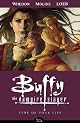 Buffy the Vampire Slayer Season 8 Volume 4: Time of Your Life