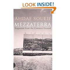 Mezzaterra: Fragments from the Common Ground