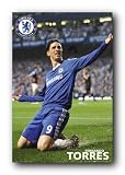 (24x36) Chelsea FC Fernando Torres Celebration Sports Poster Print