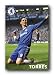 (24x36) Chelsea FC Fernando Torres Celebration Sports Poster Print