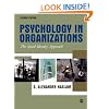 Psychology in Organizations: The Social Identity Approach