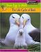 The Life Cycle of Birds (From Egg to Adult) (From Egg to Adult)